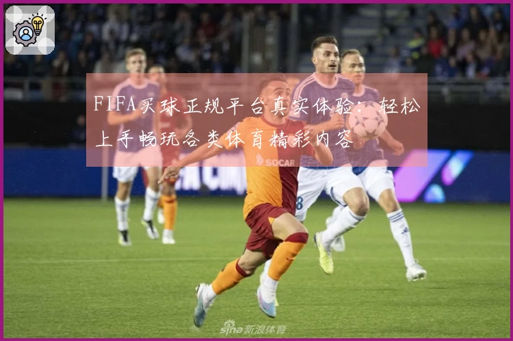 FIFA买球正规平台真实体验：轻松上手畅玩各类体育精彩内容