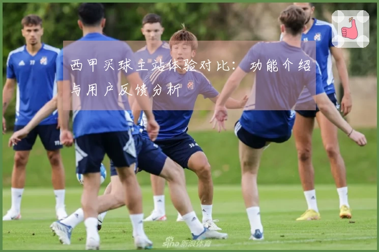 西甲买球主站体验对比：功能介绍与用户反馈分析
