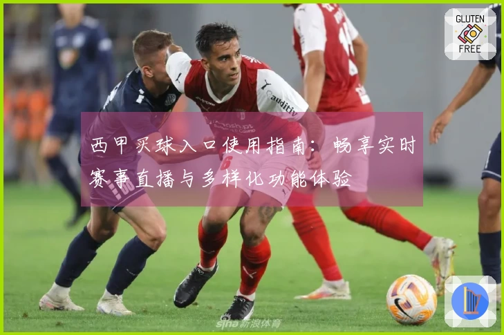 西甲买球入口使用指南：畅享实时赛事直播与多样化功能体验