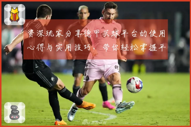 资深玩家分享德甲买球平台的使用心得与实用技巧，带你轻松掌握平台乐趣