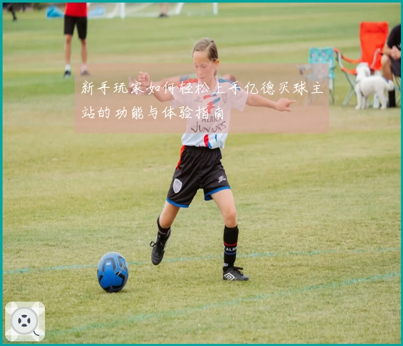 新手玩家如何轻松上手亿德买球主站的功能与体验指南